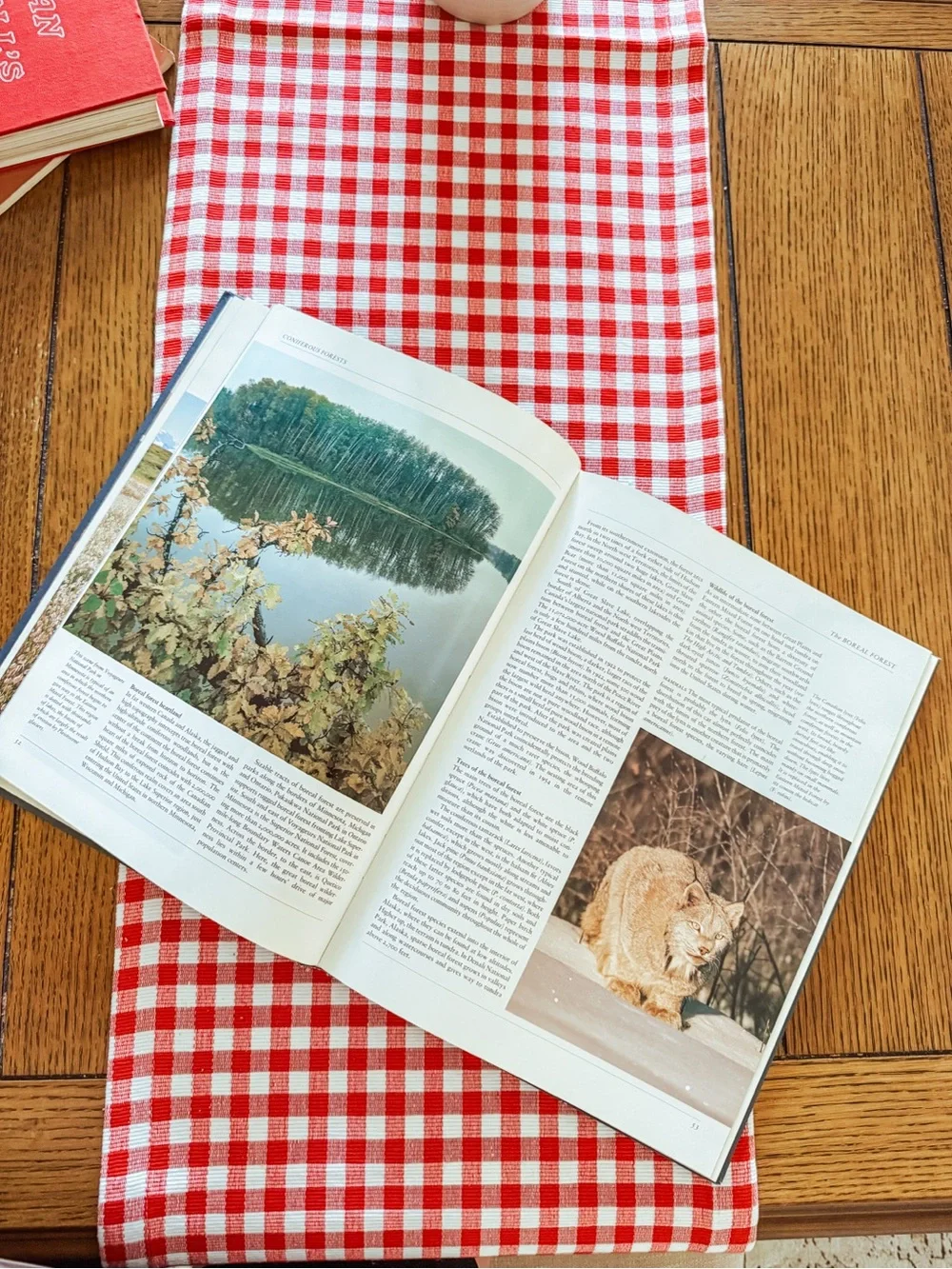 Classic Navy Hardcover Coffee Table Book - The Natural History of North America